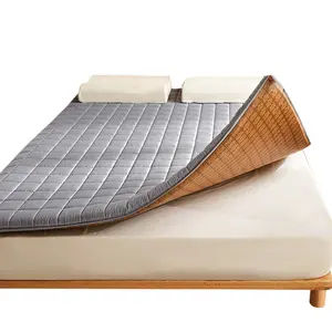 Tatami Summer Ice Silk Cooling Mat Mattress Pad Student Dormitory Single Person Dual Use Winter Summer Foldable Thin Home Use