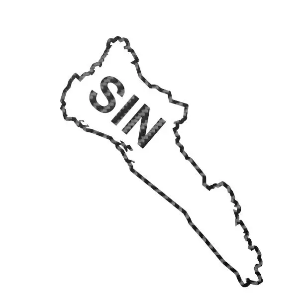 Mexican State Map Outline Sinaloa Vinyl Decal Sticker UV & Waterproof Bumper Window Laptop Automotive Water Bottle Gift accessories – CARBON FIBER 6"