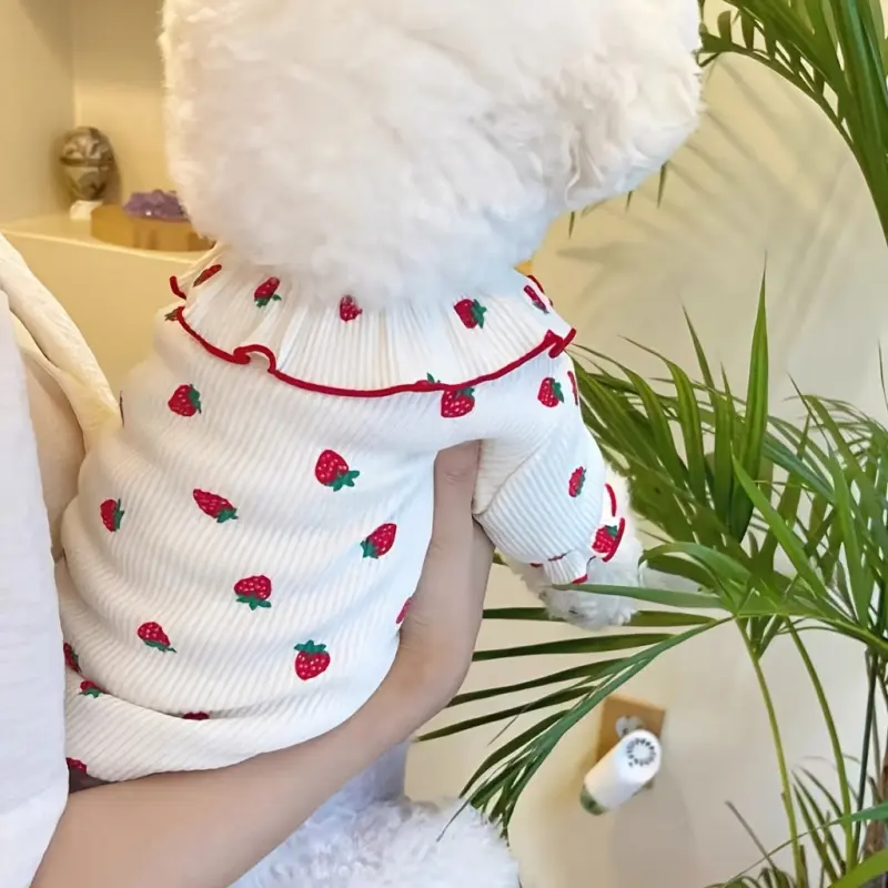 Cute Strawberry Lace Pet Bipedal Outfit Shirt, Light And Breathable, Suitable For Spring And Summer. It Is A Fashionable Daily Clothing For Small Dogs Such As Teddy, Bichon Frise, Pomeranian, Poodle, As Well As Kittens And Puppies.