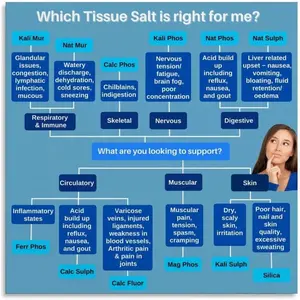 Tissue Salt Chart Knowledge Poster Canvas for Bedroom Living Room Decor 28x28inch(70x70cm) Unframe-style Colorful Ornaments