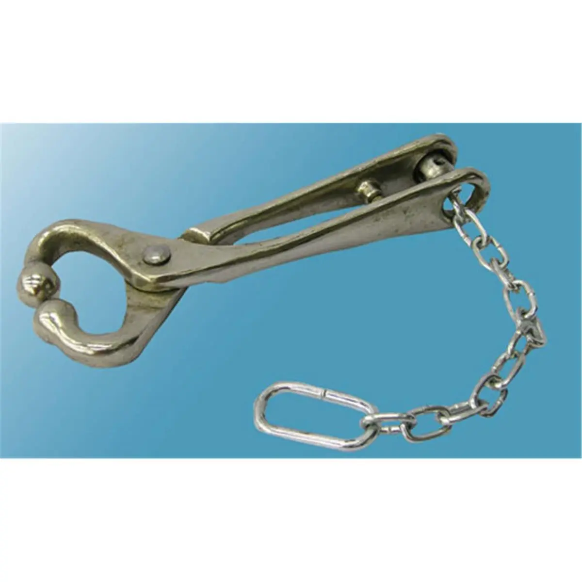 212 MAIN Durvet Ideal Bull Lead with Chain - Model 7001, Nickel-Plated, Secure Hold for Livestock Handling
