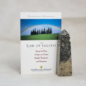 Law Of Success - Paperback