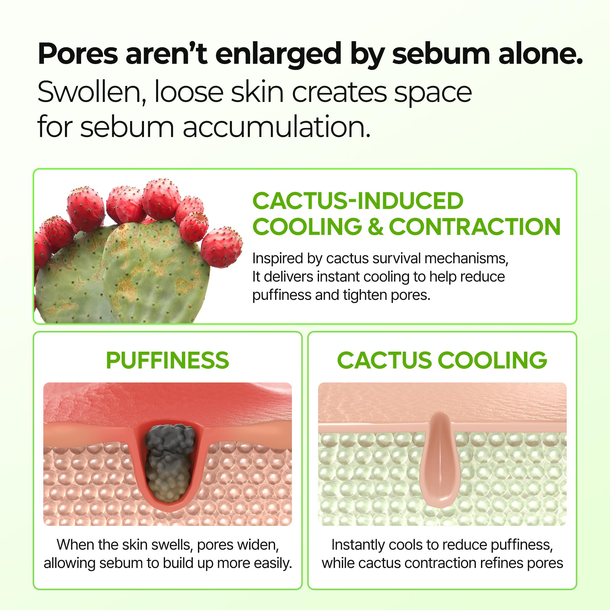 [Dr.Melaxin Official KAJSA's Pick] KAJSA's Viral Skin Barrier Boost Set infused with Calcium, Collagen, Cactus, and Spicule to lock skin barriers and reveal a youthful glow