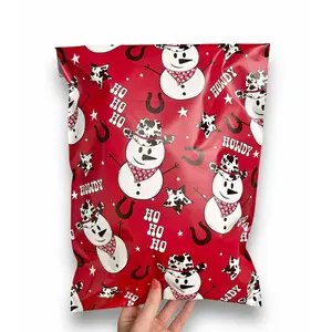 10x13 HO HO HO Y'all Christmas Poly Mailer