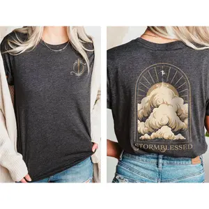 Stormlight Archive Shirt, Kaladin Stormblessed Shirt, Brandon Sanderson Fan Gift, Cosmere Shirt, Way Of Kings Graphic T-Shirt, Unique Gift