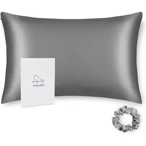 Silk Pillowcase Men Women Beauty Anti Face Wrinkle Pillow Slip Case Real Mulberry Silk Queen Size with Zipper Closure (1pc, Iron Grey)Gift