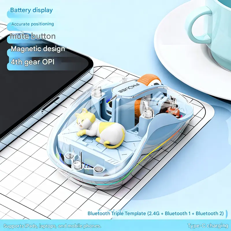 USB + Type-C dual receivers + random plush toy (sp