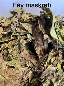 Fèy Maskreti Herbal