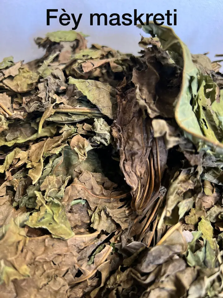 Fèy Maskreti Herbal