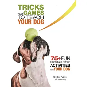 Tricks and Games to Teach Your Dog