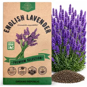 English Lavender Seeds Pack 2.5G