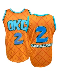 Men Women Embroidered OKC 2 Basketball Jersey, Breathable Pineapple Print Retro Sports Shirt for Daily Wear and Parties, Training Shirt