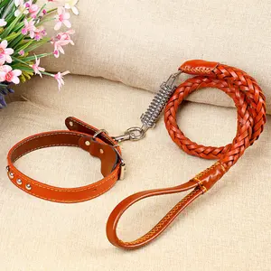 Dog leash, eight-strand leash, leather pet walking leash, collar for medium and large dogs, spring collar, anti-explosion