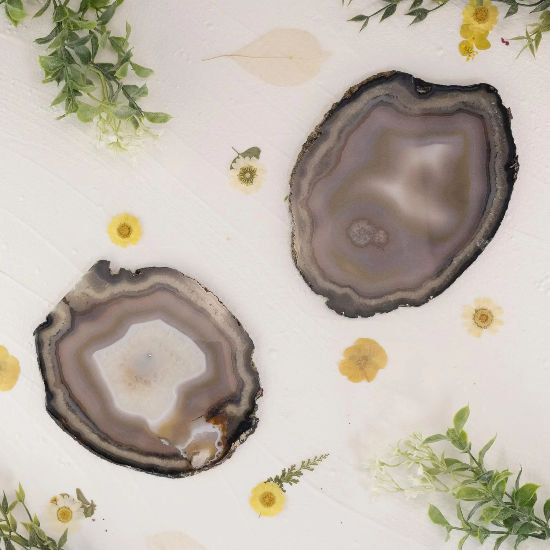 Down To Earth Large Natural Agate Slice