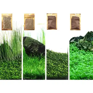 4 Bags Aquarium Plant Seeds, not Artificial Plastic Plant, Fish Tank Live Grass for All Substrate (0.36oz Tiny+0.36oz Long+0.36oz Short+0.36oz Big Dual)