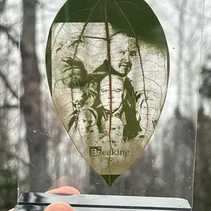 Laser leaf engraving artwork