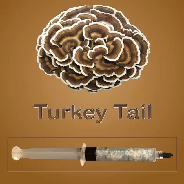Turkey Tail Mushroom Liquid Culture