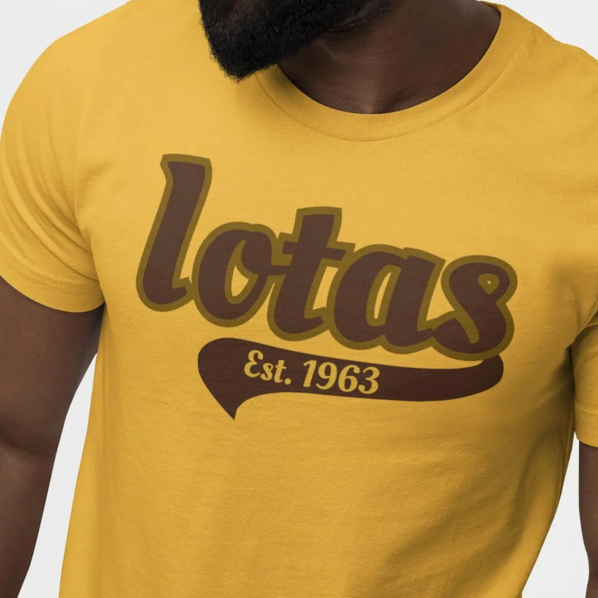 Iotas Est. 1963 T-Shirt, Retro Collegiate Style Fraternity Tee, Brown and Gold Shirt