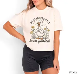 My Flabbers Have Been Gasted Boxy Tee, Funny Goose Graphic Shirt, Cute Meme Aesthetic Top