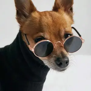 Pet Glasses for Cats and Dogs, Creative Trendy Pet Accessories, Novelty Funny Cat Sunglasses, Unique Pet Supplies
