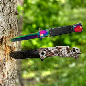 vivicreate Pocket Knives, 2 Piece Set, ABS Handles, for Camping, Stainless Steel Blades