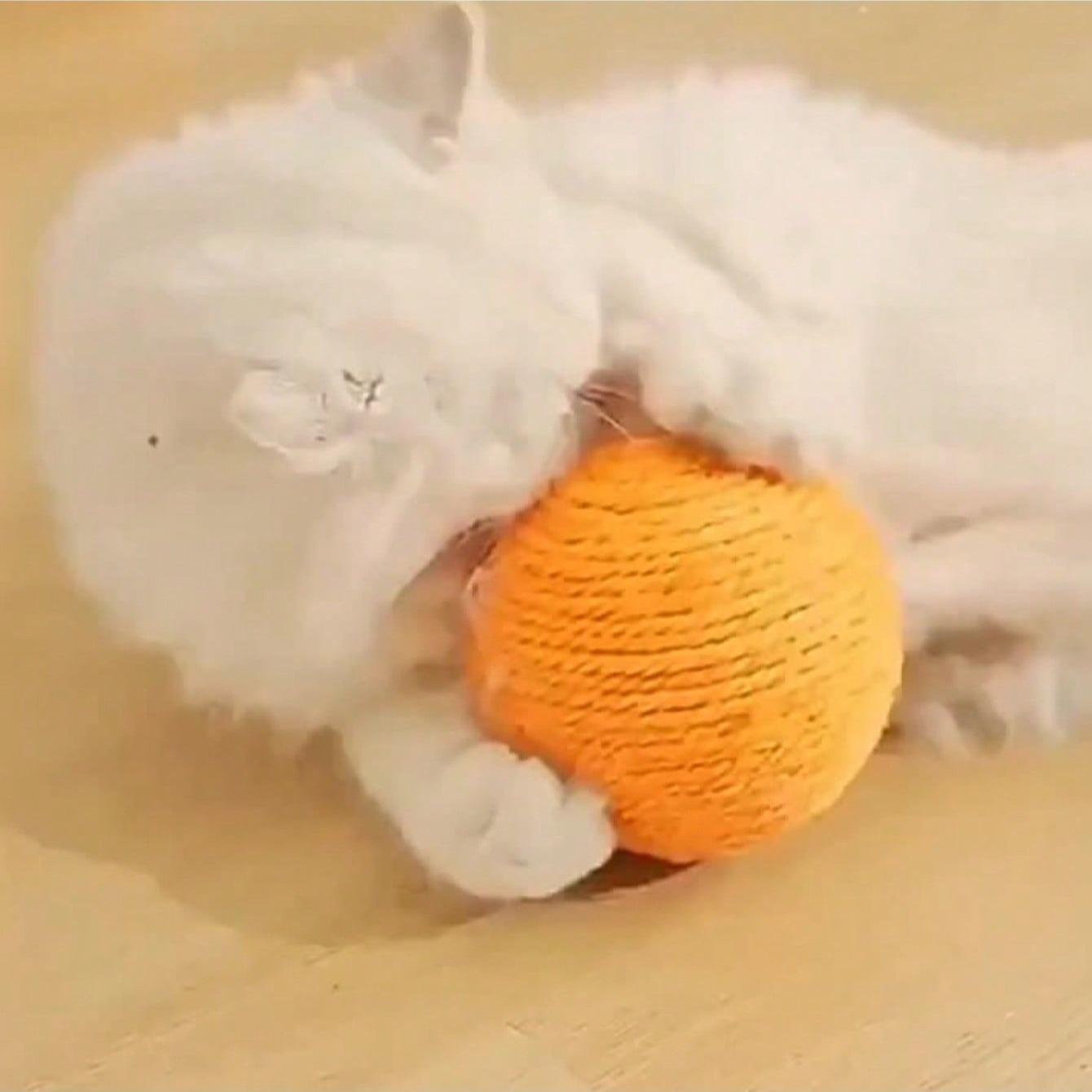 Cat Toy Sword Ball Self-Entertainment Stress Relief Chew Resistant Sound Ball Cat Supplies, Durable Interactive Plaything for Cats