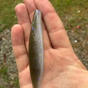 Kash Money Minnow  5in Biwako Shad Roll Shaken on Ball Head Jig Fishing Lure