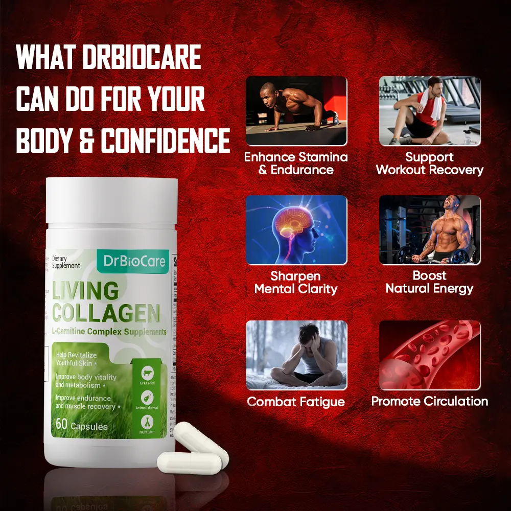 MAXDrBioCare Men's Supplement Supports Energy, Strength, Stamina, Circulation & Endurance Featuring L-Carnitine + Living Collagen New Formula, 60 Capsules - TikTok Shop MAXDrBioCare Men's Supplement Supports Energy, Strength, Stamina, Circulation & Endurance Featuring L-Carnitine + Living Collagen New Formula, 60 Capsules - TikTok Shop