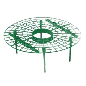 Strawberry Planting Rack, Green Strawberry Planting Rack with Sturdy Stands, Easy To Assemble Plant Support, Suitable for Berries and Small Plants
