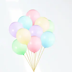 Pastel Balloon Bouquet - Hand Decorative Backdrop for Home Decoration