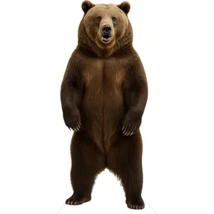 Bear 6FT Life Size Cardboard Cutout, Safari Theme Decoration, Animals Standup for Events, Party, Photography Props, 1 PC