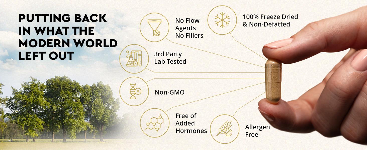 Ancestral Supplements MOFO-  180 Capsules Supports Energy Production Detoxification Digestion Immunity Full Body Wellness Non-GMO Freeze Dried Liver Health Supplement