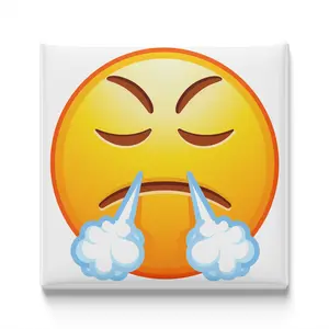 FACE WITH STEAM FROM NOSE EMOJI MAGNET