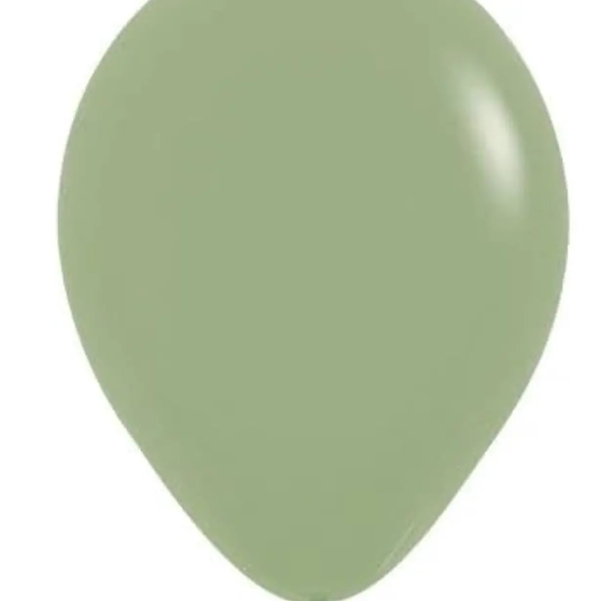 Sempertex Fashion Eucalyptus Balloons - Pack of 50