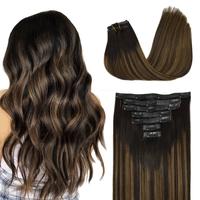 #1b/6/1b Balayage Natural Black to Chestnut Brown