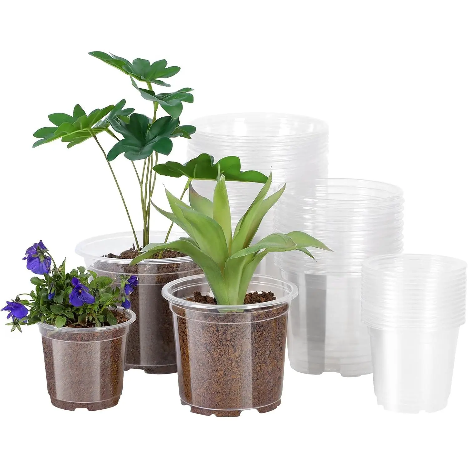 30 Pack 6/5/4Inch Clear Pots with Drainage Holes, Clear Pot for ...