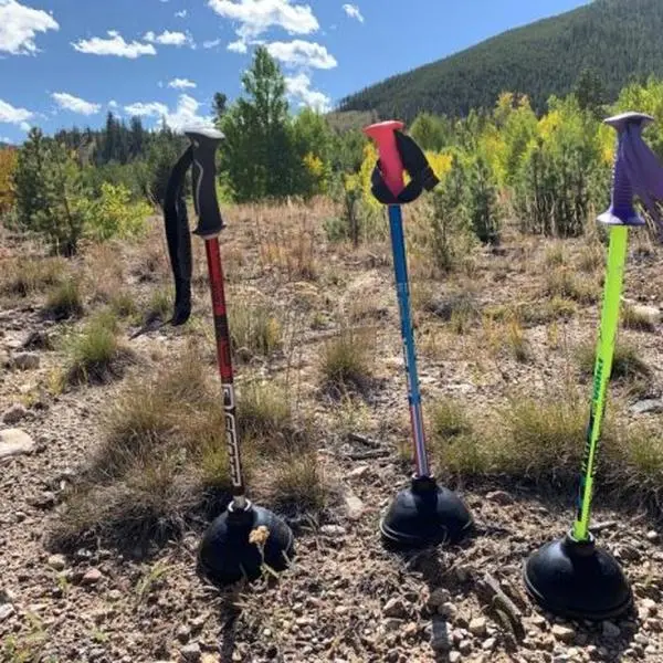 Ski Pole Plunger