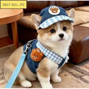 Fashion Pet Dog Hat Chest Harness Leash Set, Perfect for Streetwear and Outdoor Photos, Suitable for Small Dogs Like Pomeranian and Corgi