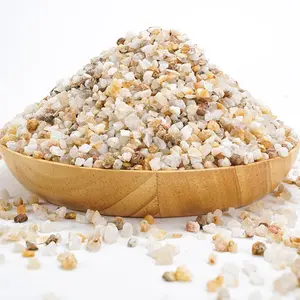 6lb Succulent and Cactus Bonsai Gritty Mix Rocks,  Coarse Sand Stone, Potted  Decorative Gravel, DIY Projects Pebbles for Vases Fillers, Terrarium, Fairy Gardening, Top Dressing