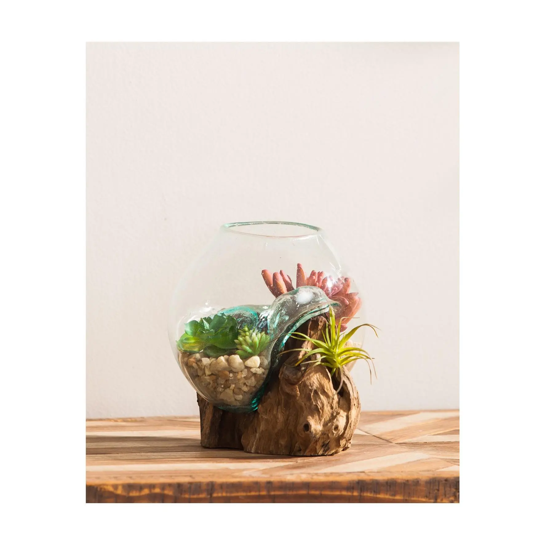 Evergreen Small Glass Planter on Driftwood Evergreen Small Glass Planter on Driftwood