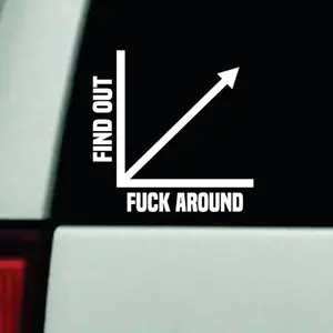 Fafo F Around and Find Out Chary Car Decal Truck Bumper Sticker Window Windshield Vinyl Funny