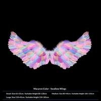 Macaron-colored wings