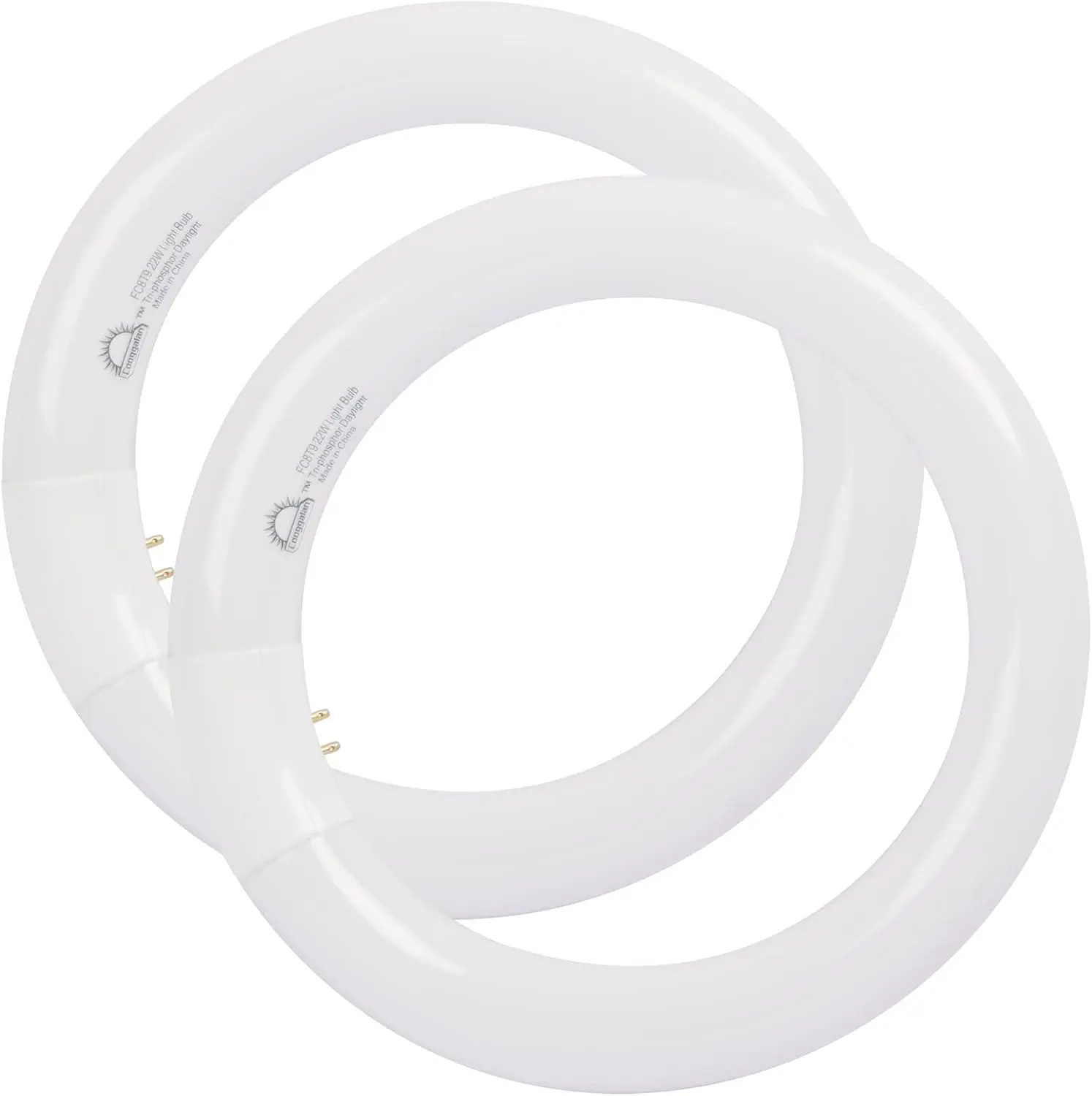 8 inch T9 22 Watts Round Light Bulbs FC8T9/DX Circular Fluorescent Light Bulb, FC8T9/DL 22W Circline Bulb, Daylight 6400K, G10q 4 Pin Prong Base, 2 Pack