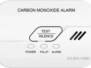Ecoey Carbon Monoxide Detector CO Detector Alarm Battery Operated Low Battery Warning Figaro Sensor, FJ119 1 Pack