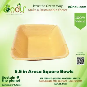 5.5" Areca Square Bowls | Biodegradable Palm Leaf Serving Bowls
