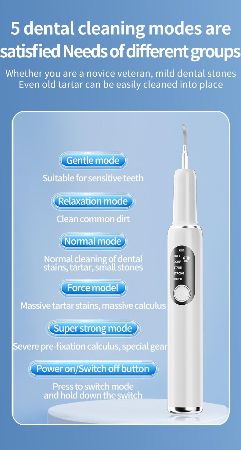 Tartar removers, rechargeable home dental cleaners, plaque removers (including replacement brush heads and manual cleaning tools), dental cleaning kits suitable for adults and pets
