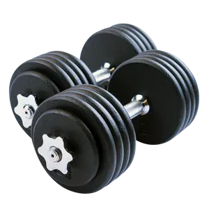 Body-Solid Tools Adjustable Dumbbells Set for Strength Training, Home Workouts, Fitness, Weightlifting