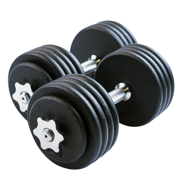 Body-Solid Tools Adjustable Dumbbells Set for Strength Training, Home Workouts, Fitness, Weightlifting