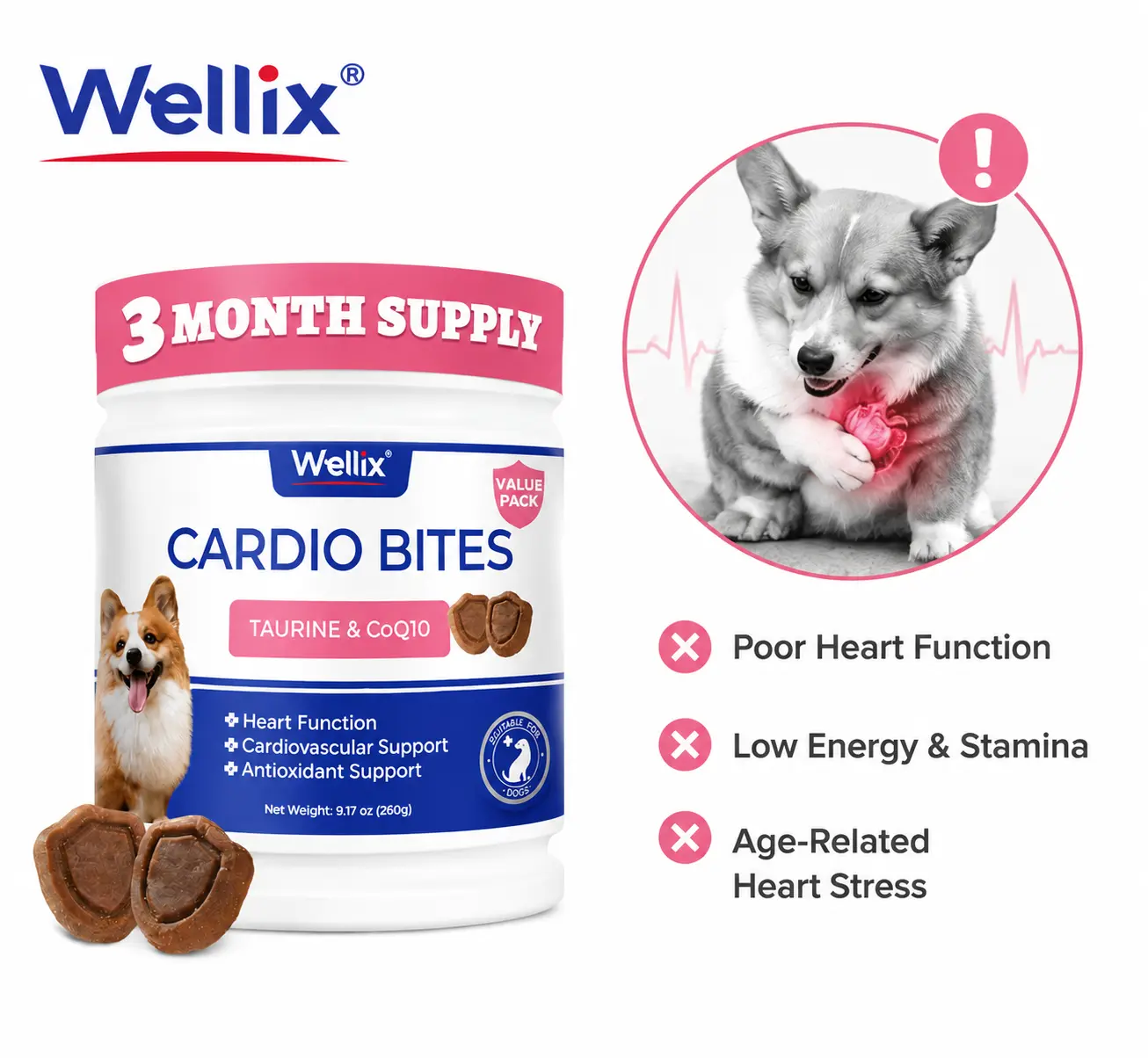 Wellix 260g Cardio Taurine for Dogs - Heart Supplements for Dog Chews with CoQ10,Fish Oil,L-Carnitine - Senior Heart Health and Cardiovascular & Antioxidant Support