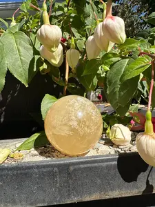 Honey Calcite Sphere Carving A